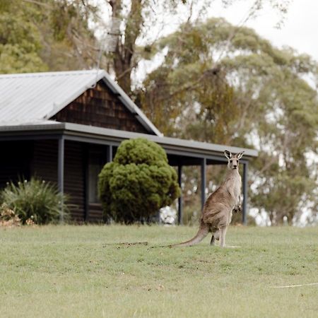 Palmers Lane Estate Hunter Valley Pokolbin Exterior photo